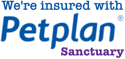 We're insured with Petplan Sanctuary